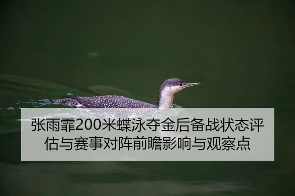 张雨霏200米蝶泳夺金后备战状态评估与赛事对阵前瞻影响与观察点